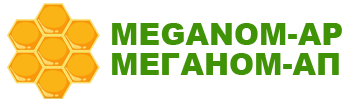 logo-header-meganom-eng